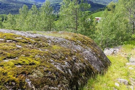 Norwegian Landscape Big Rocks Mountains And Forest Norway Nature