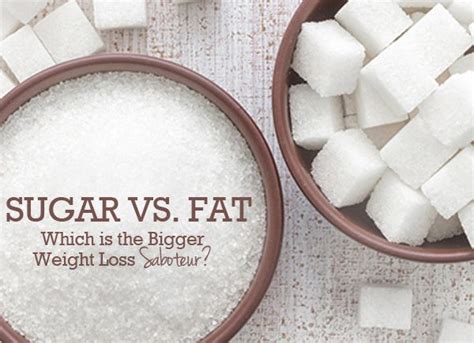 Fat Vs Sugar A Weight Loss Adventure