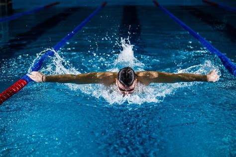 Butterfly Stroke Swimming Technique The Essential Parts