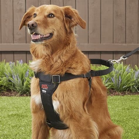 Easy Rider Adjustable Dog Car Harness Large