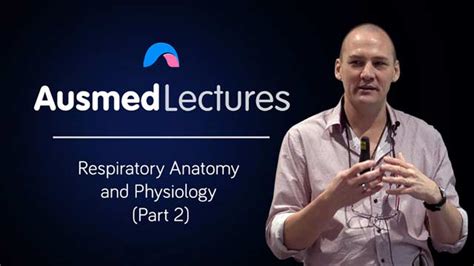 Respiratory Anatomy And Physiology Part 2 Ausmed
