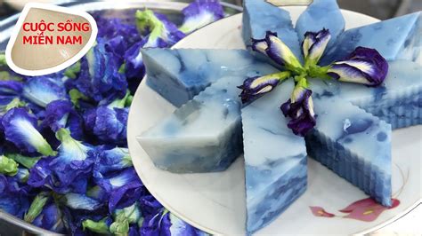 Trong cuộc sống, hoa đậu biếc có công dụng rất tuyệt vời. Rau câu sơn thủy hoa đậu biếc (đẹp lung linh 😍) #namviet ...