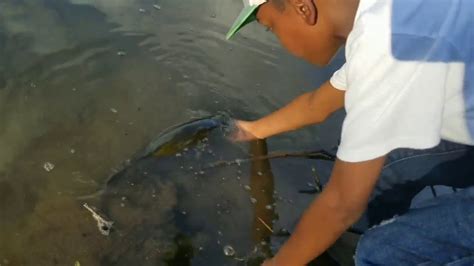 Florida Boy Releases Fish In Adorable Viral Video Youtube