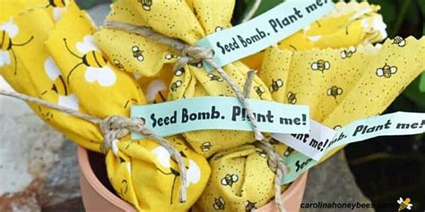 Seeds And Seed Bombs Home And Living Outdoor And Gardening Bee Seed Bombs