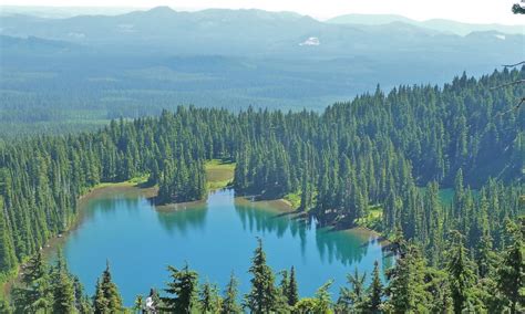 The indian heaven wilderness is well known for its abundant huckleberries. Indian Heaven Wilderness, Washington - AllTrips
