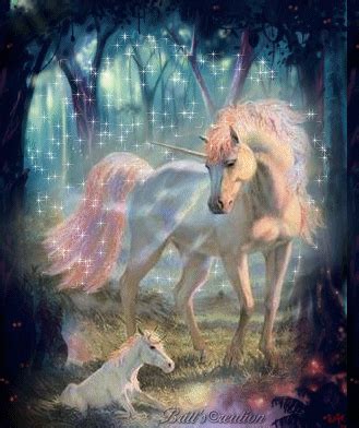 So You Want to Be a Unicorn Farmer: 5 Things You Need to ...