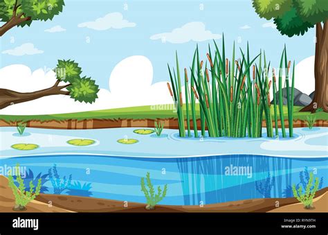A nature swamp landscape illustration Stock Vector Image & Art - Alamy