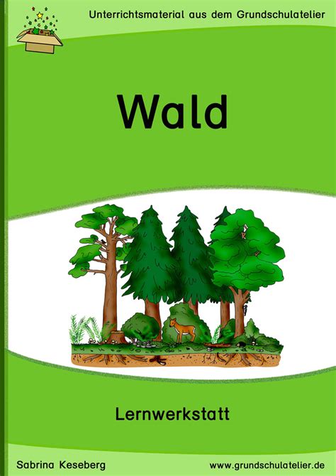 Free download netzwerk a1 pdf a2 pdf dschule.de. Wald-Werkstatt | Wald grundschule, Grundschule und Unterrichtsmaterial