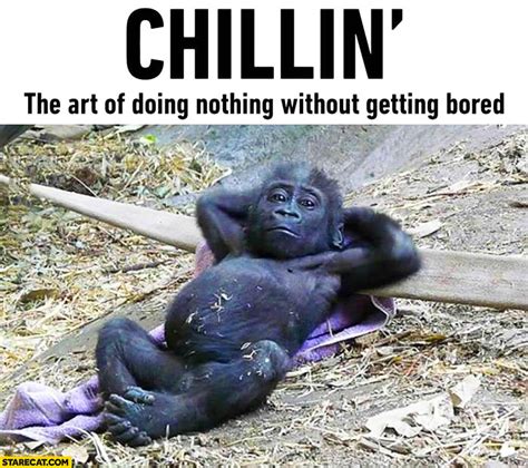 Chillin The Art Of Doing Nothing Without Getting Bored