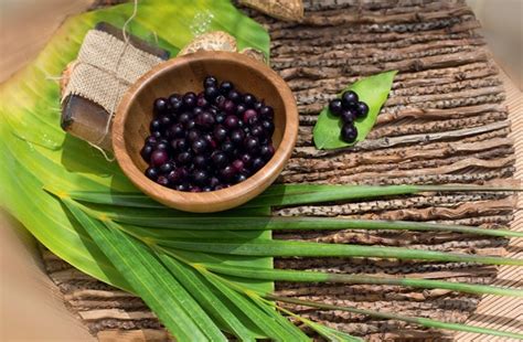 Acai bobice vraćaju telu energiju, jačaju imunitet, čuvaju srce i krvne sudove, usporavaju starenje acai bobice imaju raznovrsan sastav. Ulje kao superhrana za kožu i tijelo - She