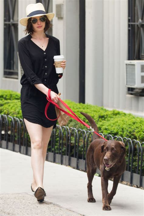 Anne Hathaway Walks Her Dog Out In New York 05172015 Hawtcelebs
