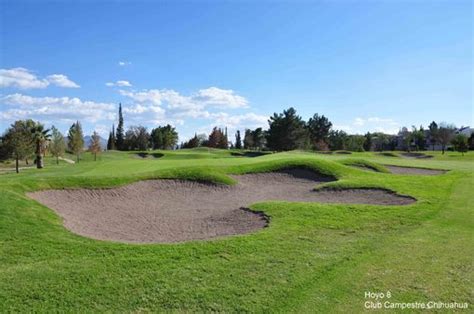 Ezine European Institute Of Golf Course Architects Newsletter