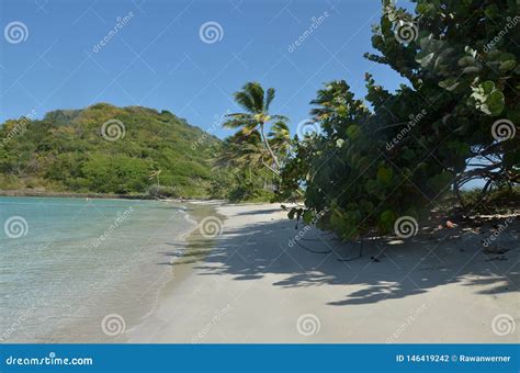 Uninhabited Island Caribbean Beach Palms Stock Photo Image Of