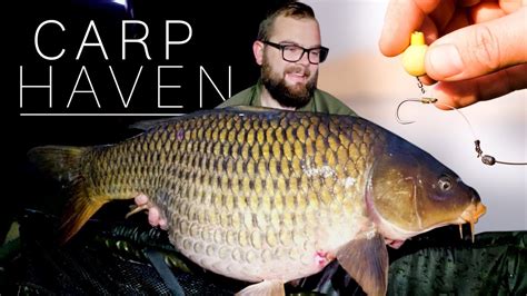 Carp Fishing for BIG CARP in South Africa at Carp HAven (New Personal