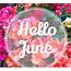 Hello June Images Wishes – Oppidan Library