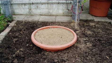 Sand & garten außenanlagen sand & matschanlage. Wildbienen im Garten ansiedeln | NDR.de - Ratgeber - Garten