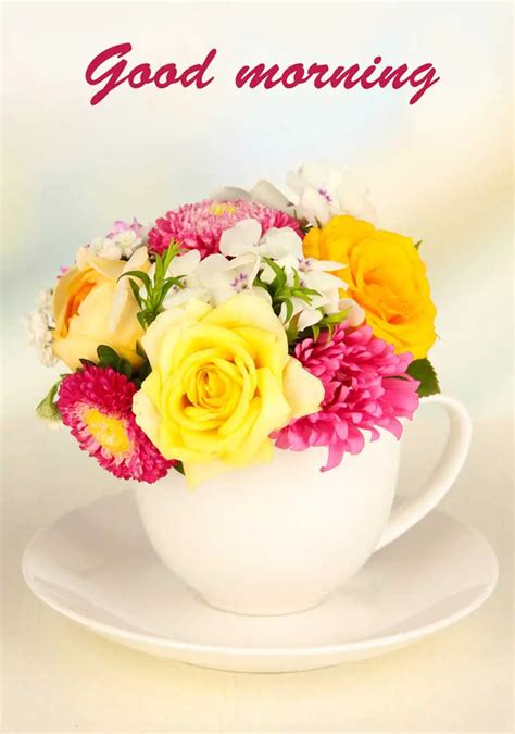 Premium Good Morning Flower Image Free Download Ontaheen