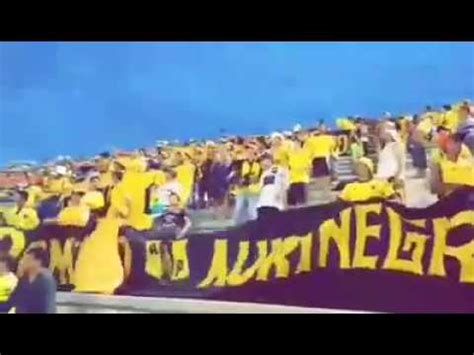 In the last 20 games, deportes tolima got 6 wins, 7 draws and 7 losses. DOMINIO AURINEGRO EL SABADO VS DEP. TOLIMA - ALIANZA PETROLERA - YouTube
