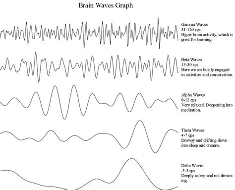What Are Brain Waves Theta Delta Alpha Beta Brain Waves What Is