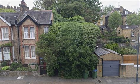 The two main branches detect either the presence of the virus or of antibodies produced in response. Live in your very own London 'tree house' for £450,000 | Daily Mail Online