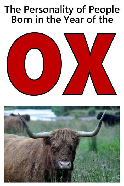 The Personality Of People Born In The Year Of The Ox In 2020
