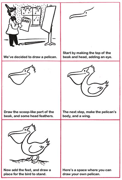 How To Draw A Pelican Purple Kitty