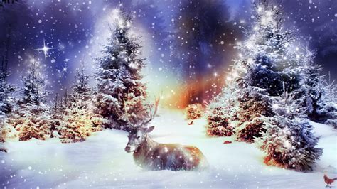 4k Christmas Reindeer Wallpapers High Quality Download Free