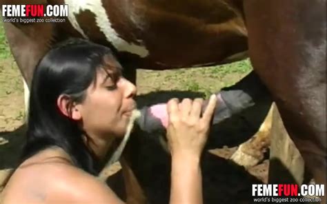Tight Brunette Woman Having Oral Sex With A Horse And Rubs