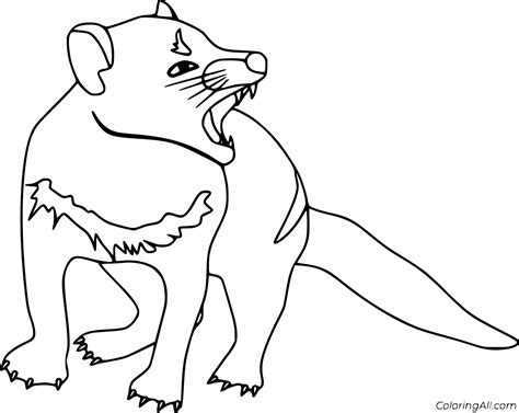 Tasmanian Devil Coloring Pages (9 Free Printables) - ColoringAll