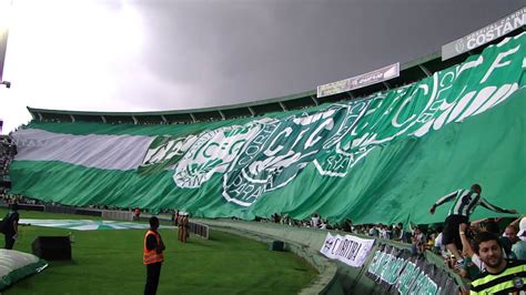 More images for coritiba » Coritiba 1x1 Grêmio-BANDEIRÃO - YouTube
