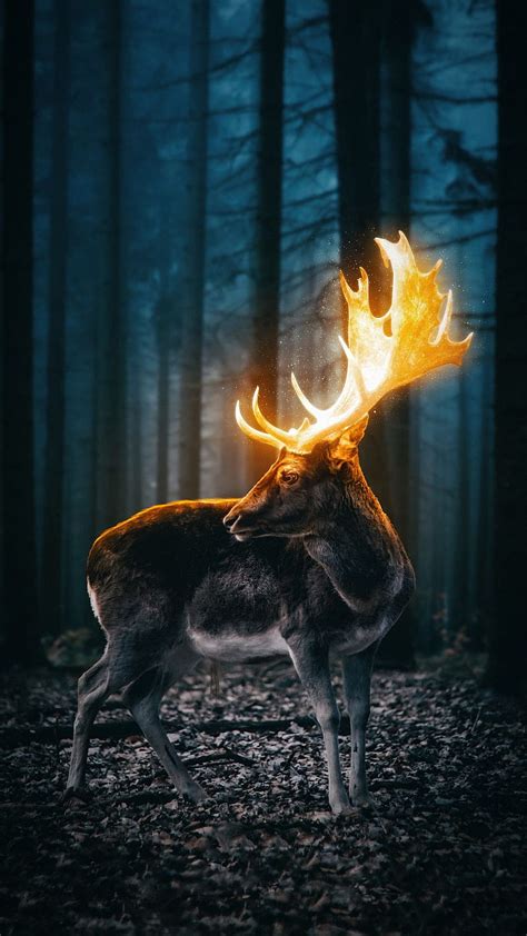 Fantasy Animal Deer Forest Lightning Hd Phone Wallpaper Peakpx