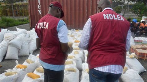The national drug law enforcement agency (ndlea) has approved the promotion of 2,788 of its the agency promoted a total of 1,311 staff, which made up of 1,291 staff within the rank and file, and. NDLEA Promotes 3506 Officers To Next Rank (See Full List ...