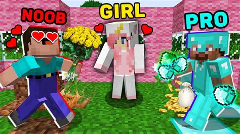 Minecraft Noob Vs Pro Who Will Like To Girl In Minecraft Animation