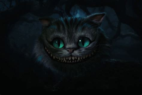 The Cheshire Cat The Cheshire Cat 1800x1200 The Cheshire Cat Photo