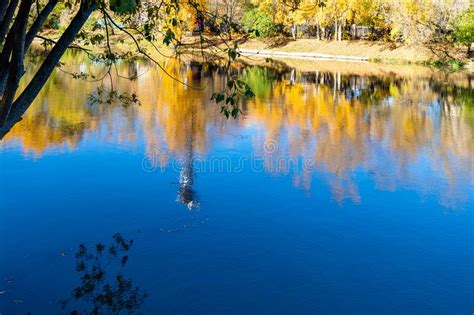 Colorful Reflection In River In Sunny Autumn Day Stock Image Image Of