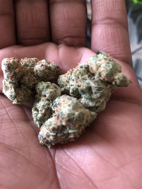 Garlic cookies by grassroots is my number 1 strain for 2020. Dopest