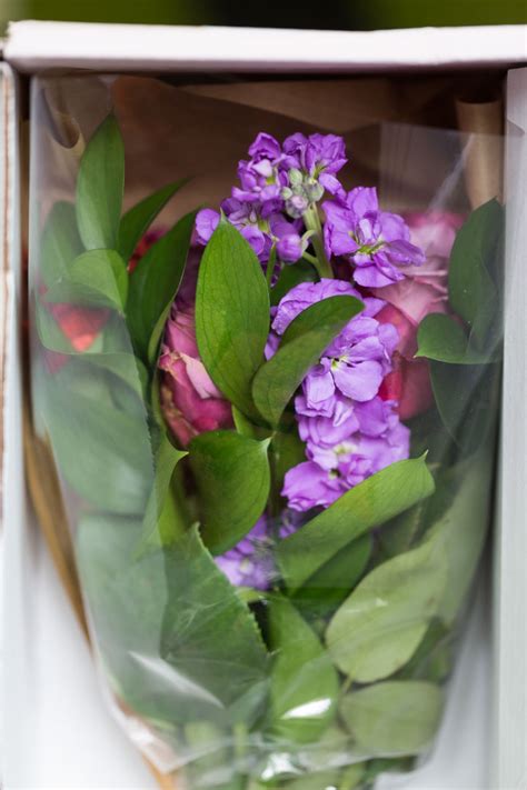 15% off farmgirl flowers coupon 2020 + free shippoing over $50. Sophia Durack: Farmgirl Flowers Discount Code Reddit ...