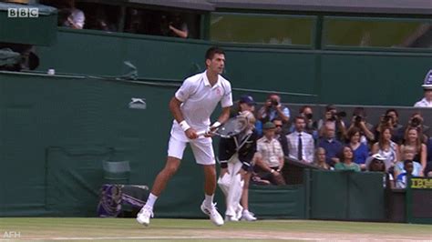 Latest and popular djokovic gifs on primogif.com. Roger federer wimbledon novak djokovic GIF - Find on GIFER