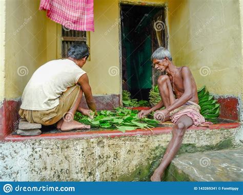 Two Old Indian Man Prepared Betel Leaves For Sale Editorial Photo