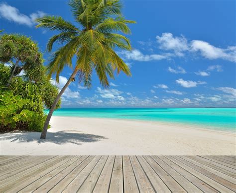 Free Download Tropical Background 1440x1184 For Your Desktop