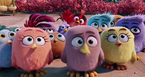 Angry Birds Series Makes Its Way To Netflix Everydaykoala