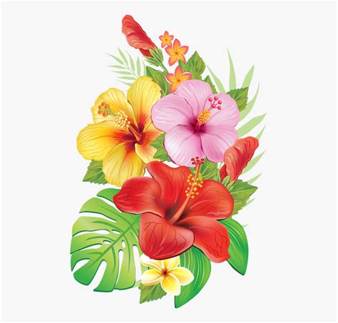 Tropical Flowers Drawing Clip Art Library