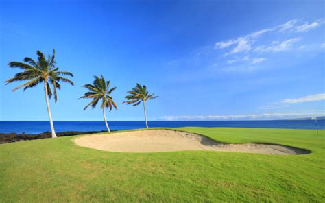 Hawaii Golf Course Custom Wallpaper