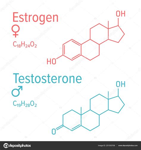 Estrogen And Testosteron Hormones Vector Chemical Formulas Stock Vector Image By ©primulakat
