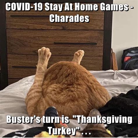 Covid 19 Stay At Home Games Lolcats Lol Cat Memes