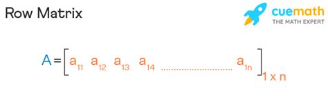 Row Matrix Definition Formula Properties Examples