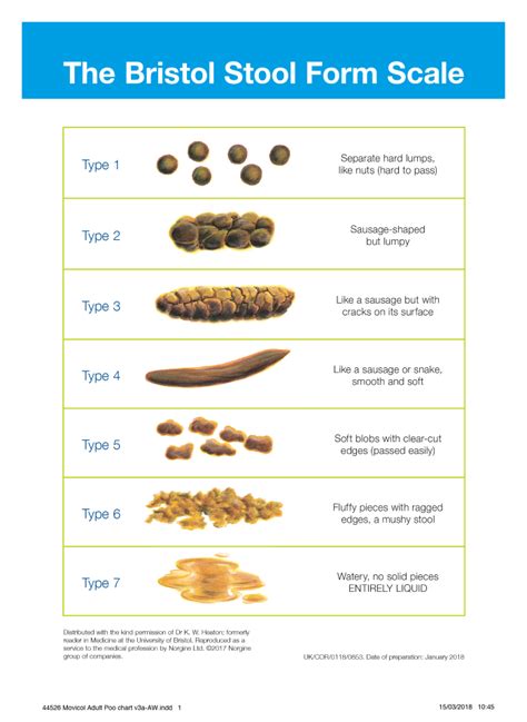 Top Bristal Stool Chart Of All Time Learn More Here Stoolz