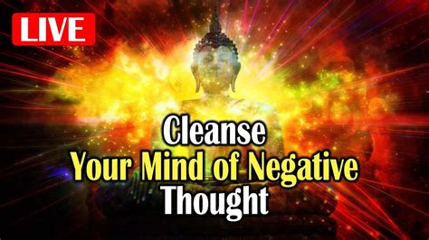 Cleanse Your Mind Body And Soul L Remove Negative Energy And Emotions L