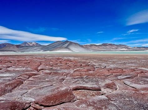 Jawapan Wow Gurun Atacama Edx Courses X