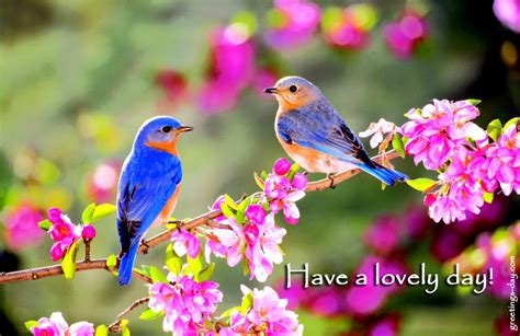 Have A Lovely Day Daily Ecards Wishes And Greetings